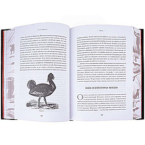 All About Hunting. The Legendary Gift Encyclopedia of Sabaneev
