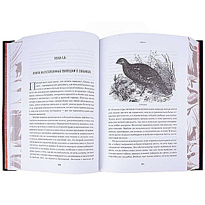 All About Hunting. The Legendary Gift Encyclopedia of Sabaneev