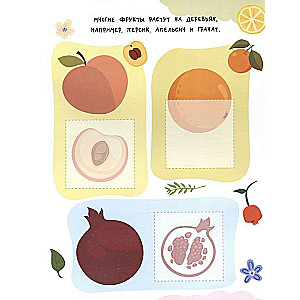 Fruits and Vegetables. 24 Stickers