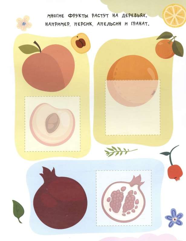 Fruits and Vegetables. 24 Stickers