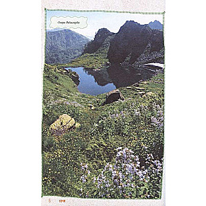 Sochi. A Journey into the World of Legends of the Sochi Black Sea Coast. A Modern Version