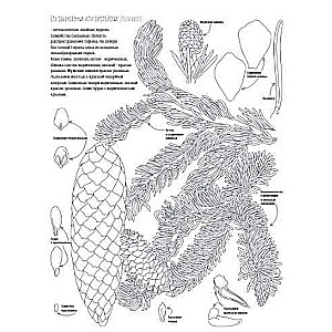 Botany. Atlas-Coloring Book