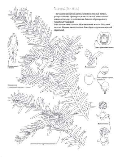 Botany. Atlas-Coloring Book
