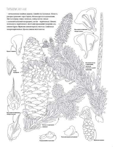 Botany. Atlas-Coloring Book