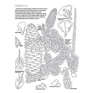 Botany. Atlas-Coloring Book