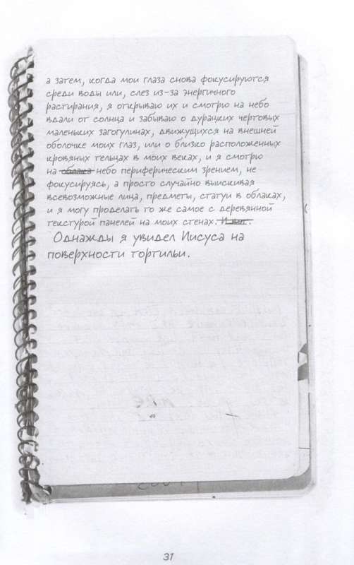 Kurt Cobain. The Personal Diaries of the Nirvana Leader
