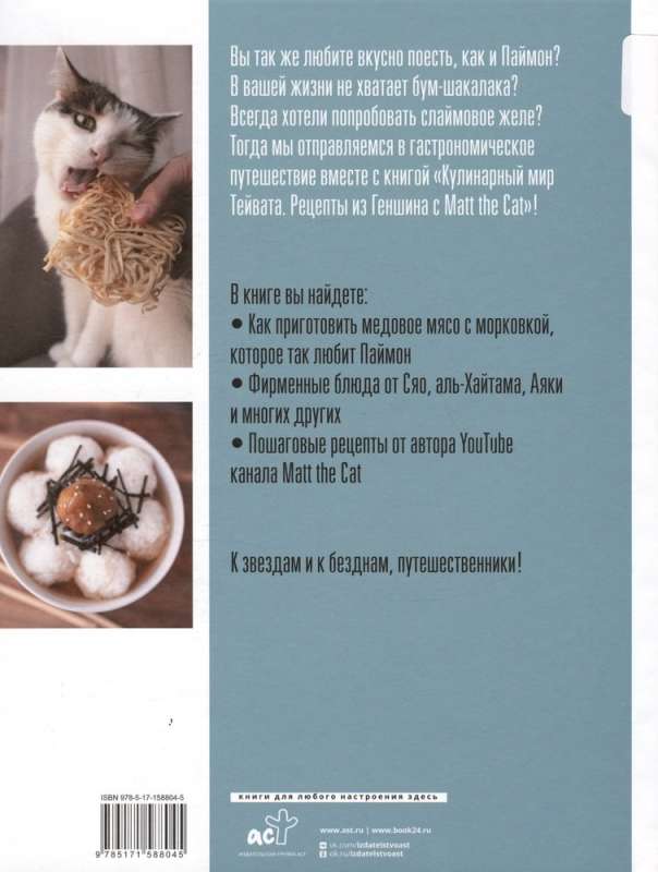 The Culinary World of Teyvat. Recipes from Genshin with Matt the Cat