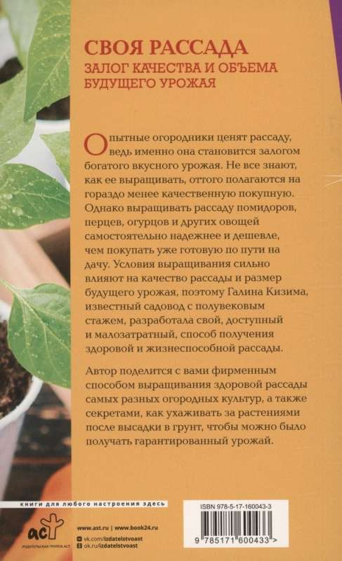 Your Seedlings. The Key to Quality and Quantity of Future Harvest