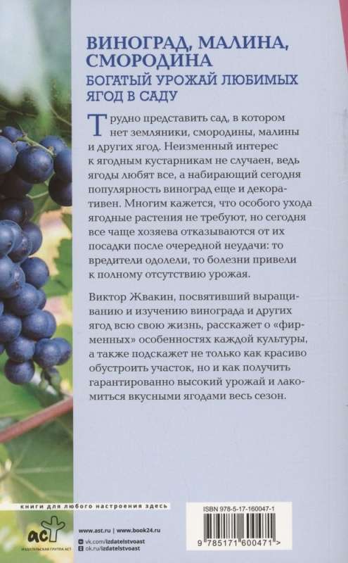Grapes, raspberries, currants. A rich harvest of beloved berries in the garden
