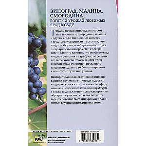 Grapes, raspberries, currants. A rich harvest of beloved berries in the garden