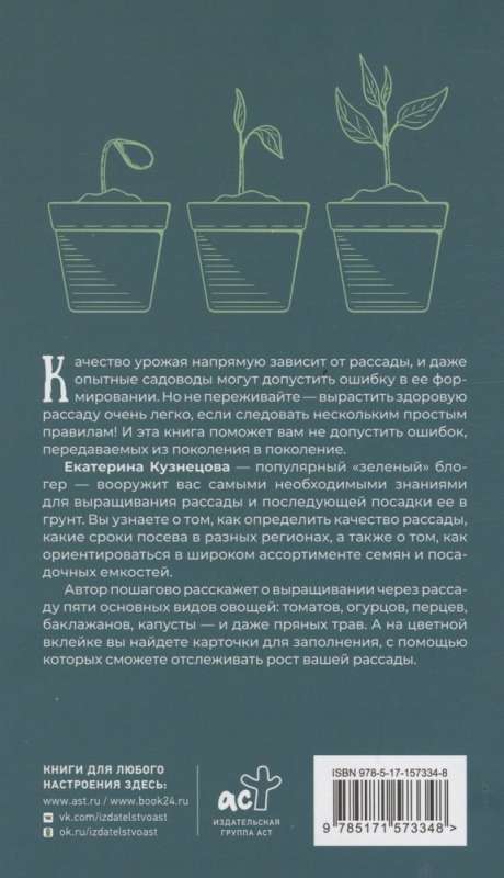 Seedling Cultivation. First Steps to a Healthy Harvest