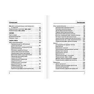 Russian Language. All Rules in Diagrams and Tables