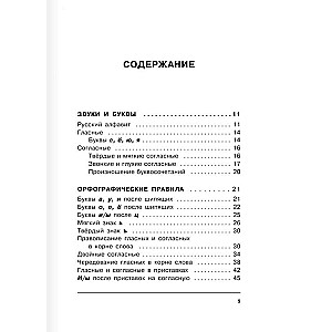 Russian Language. All Rules in Diagrams and Tables