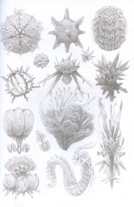 Mythos of Cthulhu. Dagon. Illustrations by Armely Golm