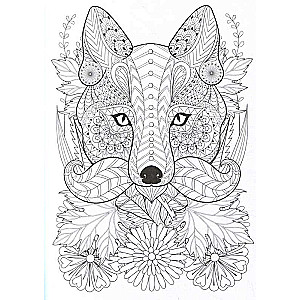 Cunning Fox Cubs. Coloring Postcard
