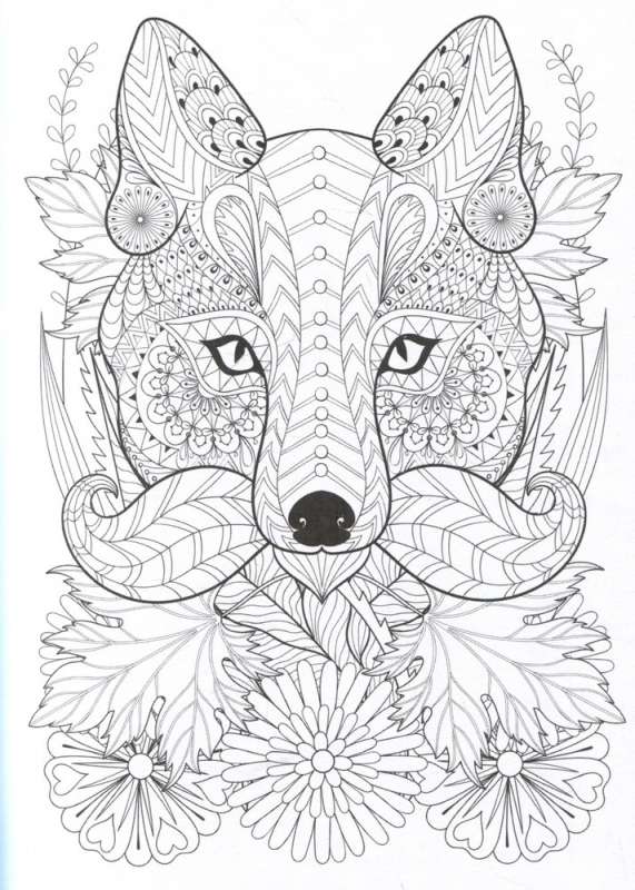 Cunning Fox Cubs. Coloring Postcard
