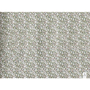 The Magic Eye. 75 Stereograms. Training and Recovery of Vision
