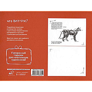 Anatomy for Artists. Express Course + Sketchbook