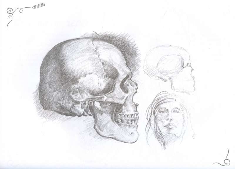 Anatomy for Artists. Express Course + Sketchbook
