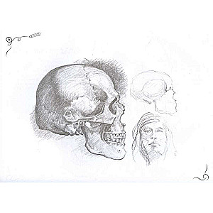 Anatomy for Artists. Express Course + Sketchbook