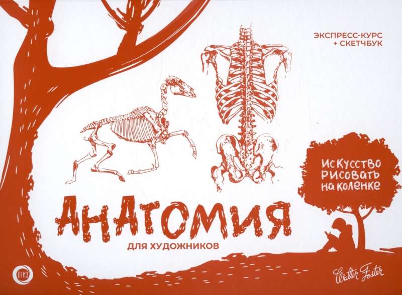 Anatomy for Artists. Express Course + Sketchbook