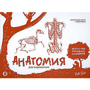 Anatomy for Artists. Express Course + Sketchbook