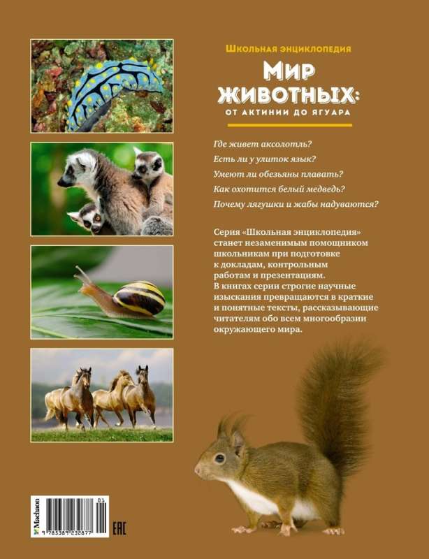 Dzīvnieku pasaule: no akvālija līdz jaguāram