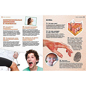 School Encyclopedia. The Human Body. 200 Questions and Answers