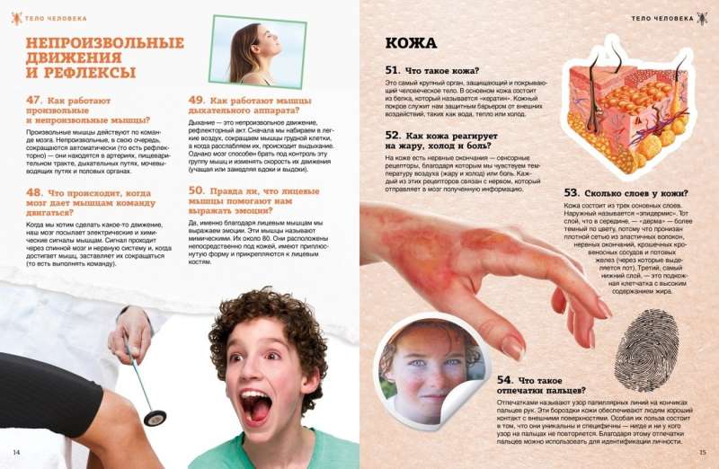 School Encyclopedia. The Human Body. 200 Questions and Answers