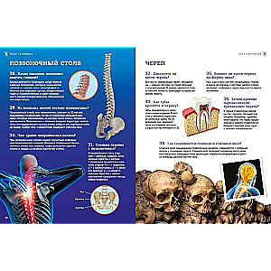 School Encyclopedia. The Human Body. 200 Questions and Answers