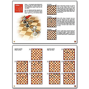 Chess School. Second Year of Study. Textbook