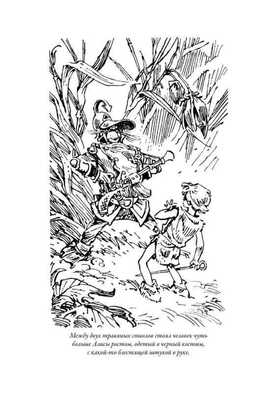 Alice's Adventures III: Napoleon's Treasure