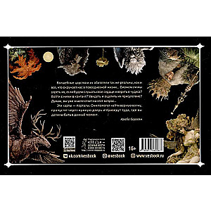 Oberon Oracle: Advice from the Kings of the Elements (48 cards + brochure)