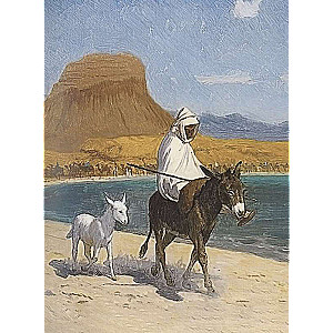 Rubaiyat with illustrations