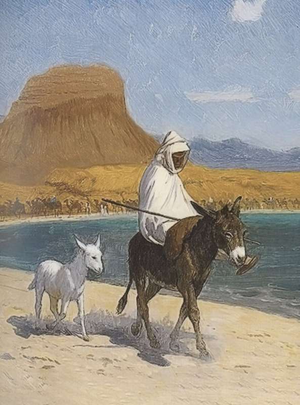 Rubaiyat with illustrations