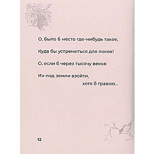 Rubaiyat with illustrations