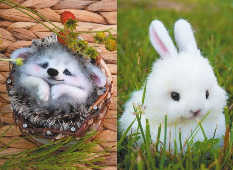 Cute Living Toys. Knitting, Felting, Sewing, and Modeling