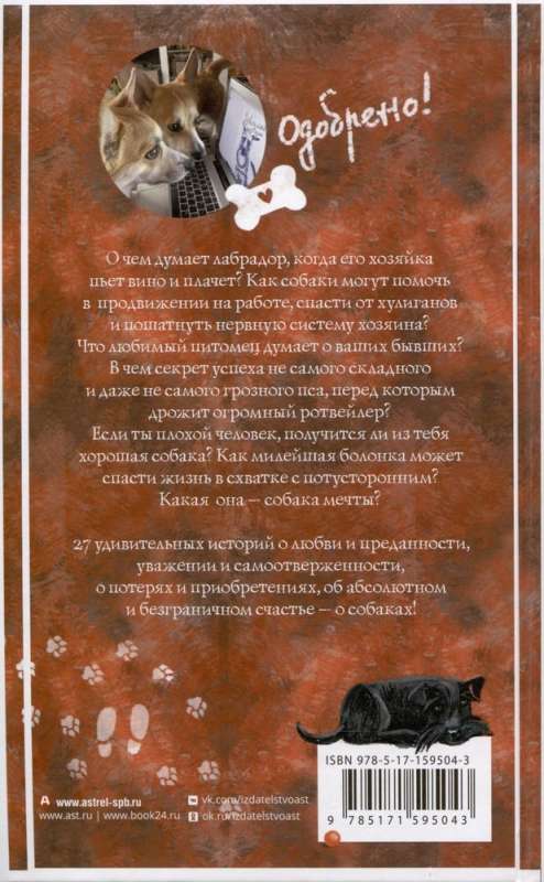 Amazing Stories About Dogs