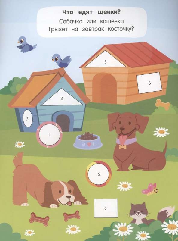 Puppies
