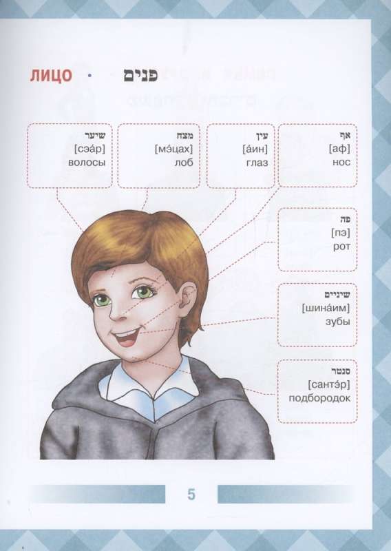 Hebrew-Russian Illustrated Dictionary for Children