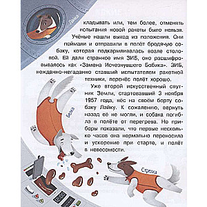 Children's Encyclopedia About Everything in the World