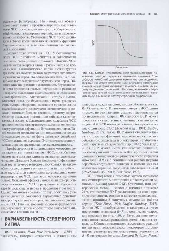 Cardiovascular system. Anatomy and physiology at rest and during physical activity