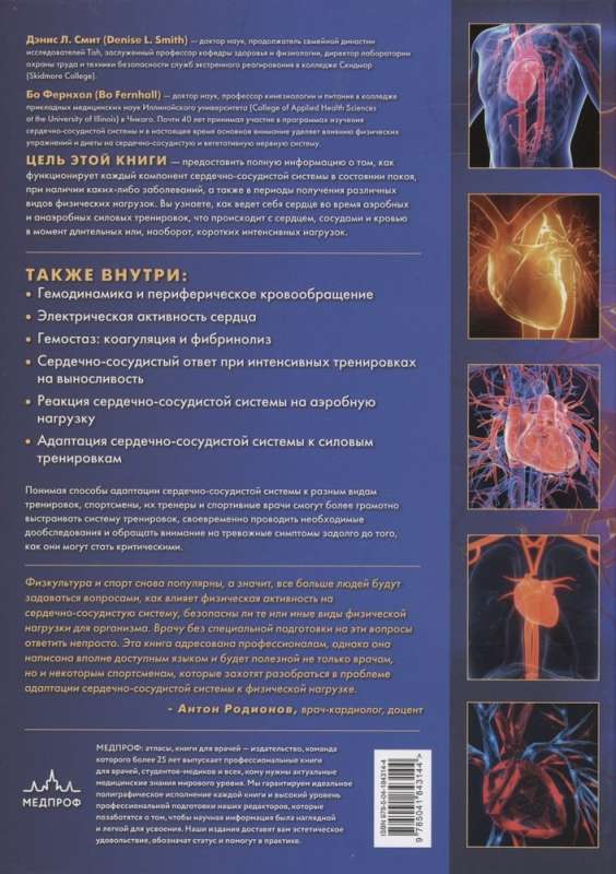 Cardiovascular system. Anatomy and physiology at rest and during physical activity