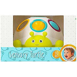 Developing Toy - BamBam: Turtle