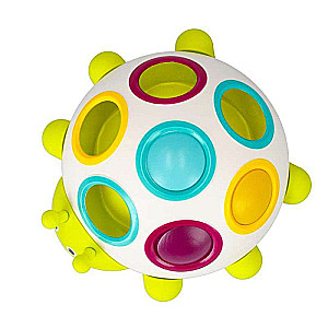 Developing Toy - BamBam: Turtle