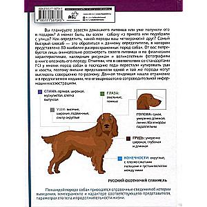 Dog Identifier. Physical Characteristics and Breed Features