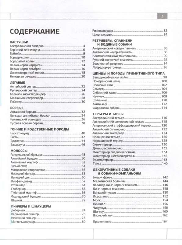 Dog Identifier. Physical Characteristics and Breed Features