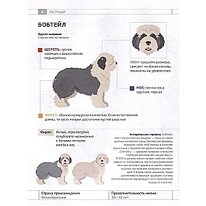Dog Identifier. Physical Characteristics and Breed Features