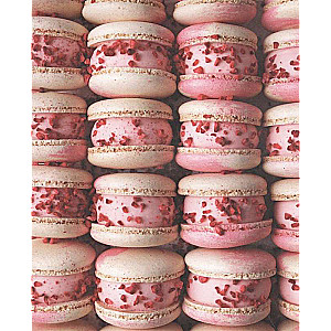 Red Book of Desserts. Theory and Practice of Preparation