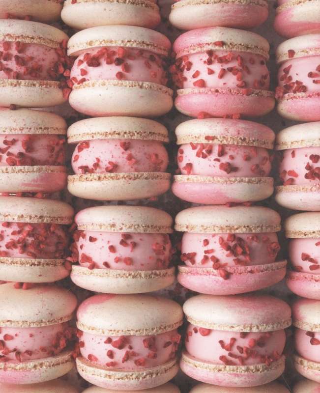 Red Book of Desserts. Theory and Practice of Preparation